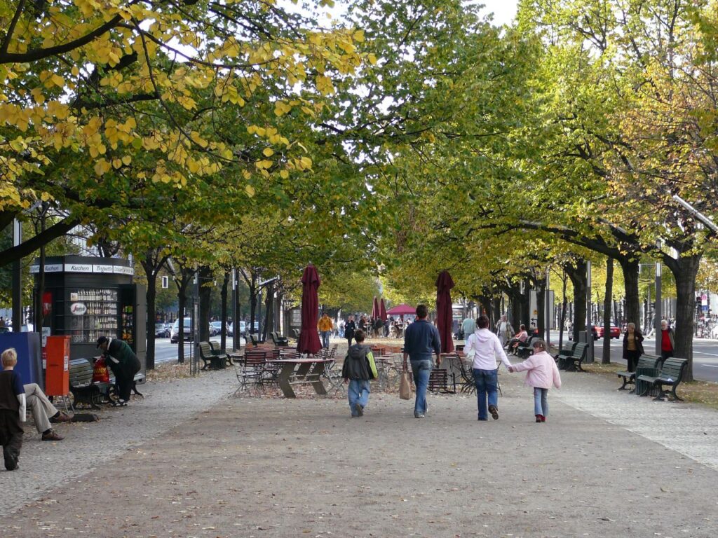 Unter den Linden im Herbst